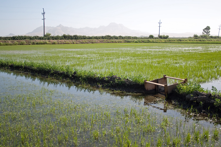 2025 Water Quality Monitoring Start