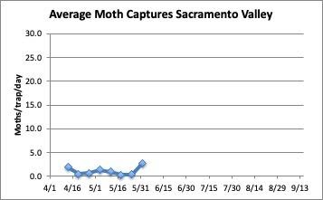 Chart: Average Moth captures in Sacramento Valley, 4/1-5/31/2020