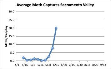 Graph: Average Moth Capture Sacramento Valley