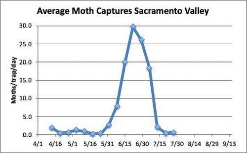 graph: Average Moth Captures in sacramento valley 4/1/2020 through 7/30/2020