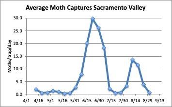 chart: average moth captures in the sacramento valley - april through august
