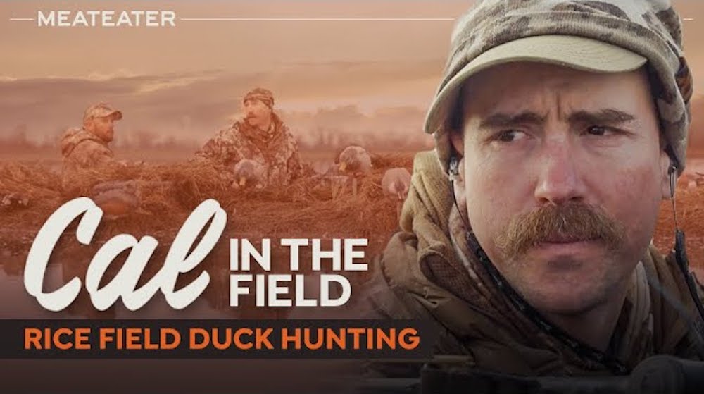 Showcasing Sac Valley Rice Fields in new Netflix episode