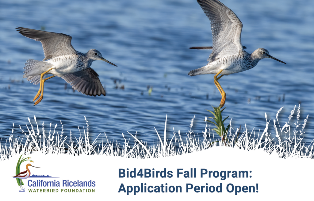 Applications Now Open for Fall Bid4Birds