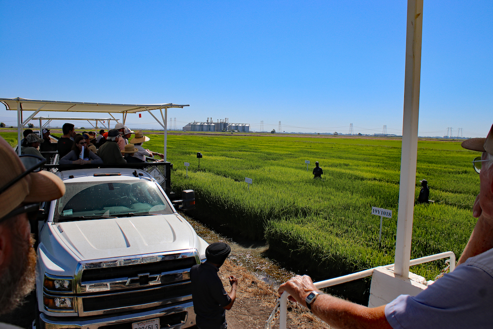 Rice Field Day – August 30
