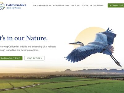 The new CalRice.org website has launched!