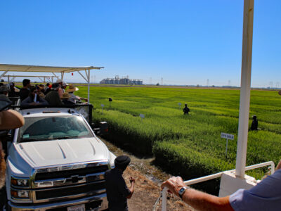 Rice Field Day – August 27
